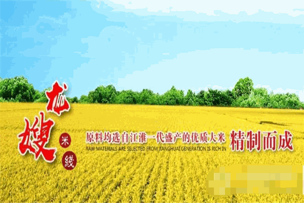 龍嫂米線加盟