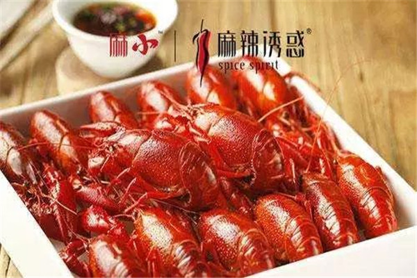 麻辣誘惑小龍蝦加盟