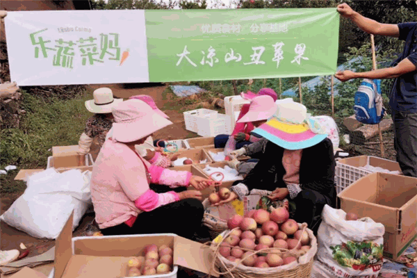 樂蔬菜媽加盟