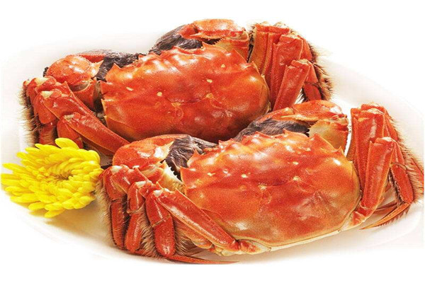 蟹巴巴陽澄湖大閘蟹