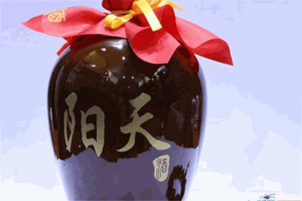 陽天酒業(yè)加盟