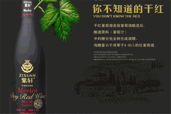 紫軒葡萄酒加盟