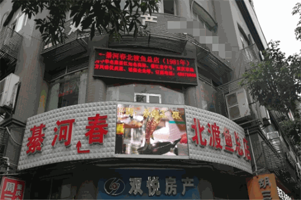 綦河春北渡魚(yú)加盟