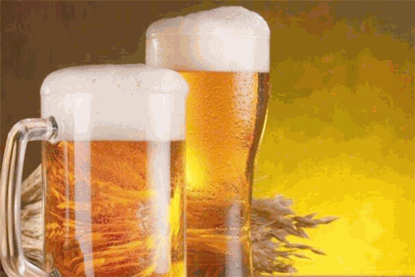 新陽春啤酒加盟