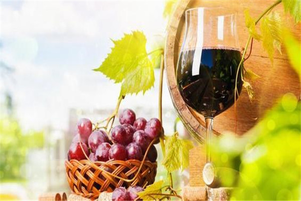 托比克爵士干紅葡萄酒加盟