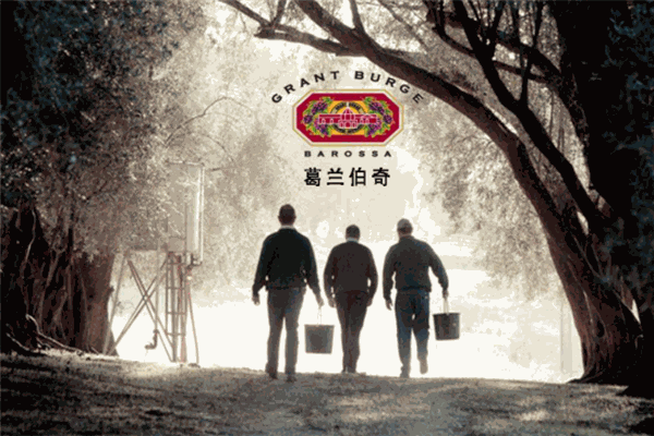 葛蘭伯奇葡萄酒莊加盟