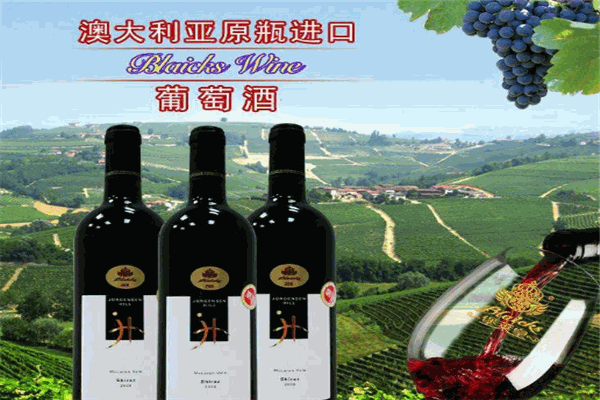 堡萊皇紅酒加盟