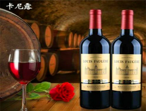 卡尼露葡萄酒加盟