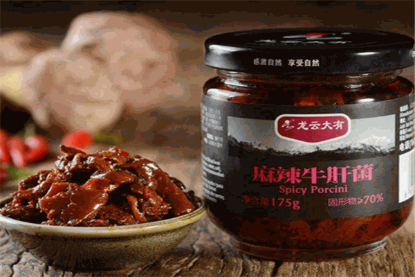龍云大有調(diào)味品加盟