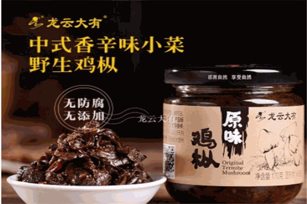 龍云大有調(diào)味品加盟