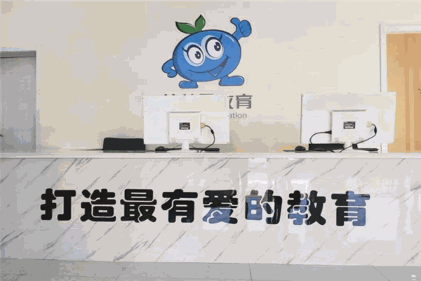 藍(lán)莓果學(xué)前教育