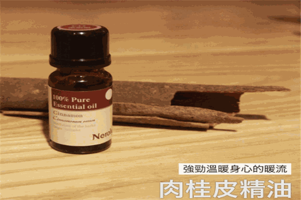 萊薏精油加盟