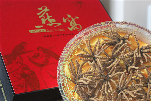 鑫燕國際加盟