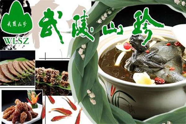 武陵山珍加盟