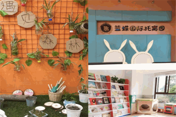 藍(lán)蝶國(guó)際托育加盟