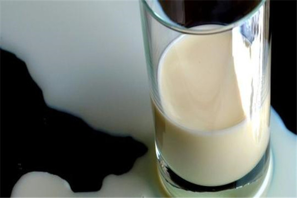 中天乳業(yè)加盟
