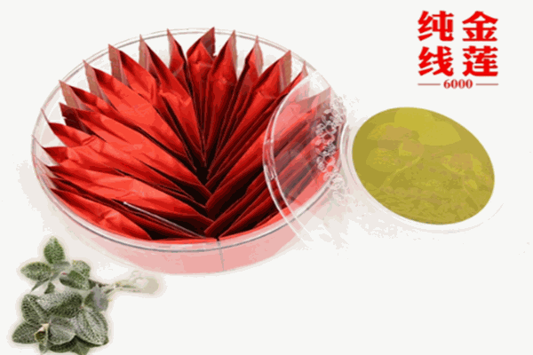 草之典金線蓮加盟