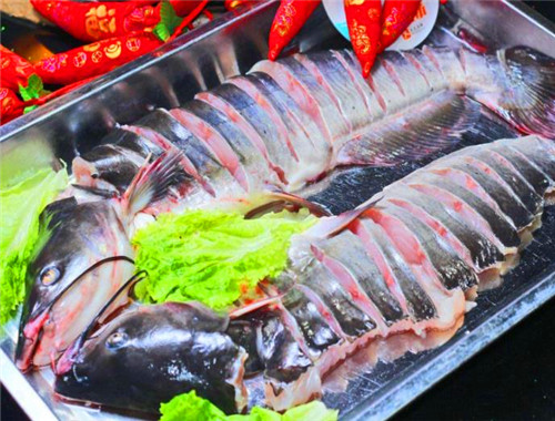 梭邊魚火鍋加盟