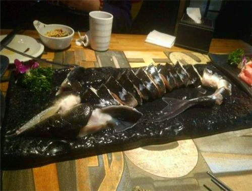 鱘龍魚火鍋加盟