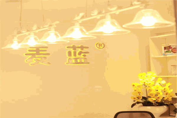 麥藍(lán)國(guó)際月子會(huì)所加盟