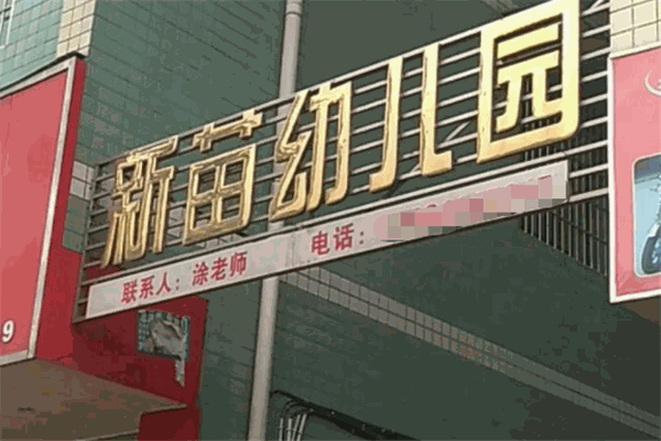 新苗雙語(yǔ)幼兒園加盟
