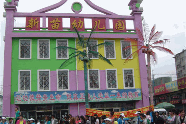 新苗雙語(yǔ)幼兒園加盟