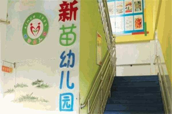 新苗雙語(yǔ)幼兒園加盟