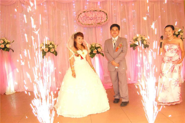 羅曼維庭婚慶加盟