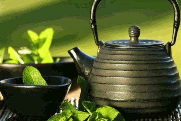 新玥茶藝培訓(xùn)加盟