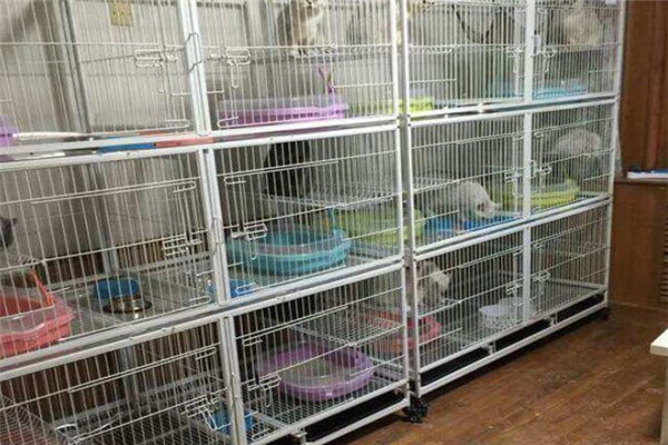 陽光寵物店加盟
