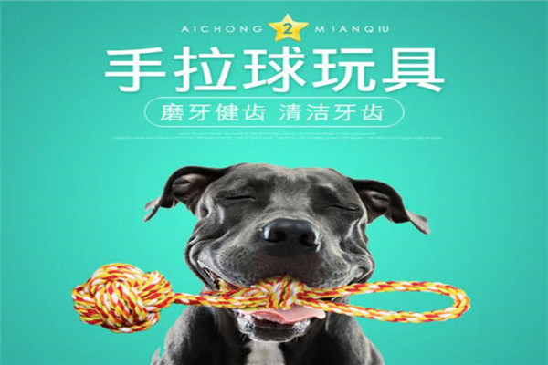 萬(wàn)寵寵物玩具加盟