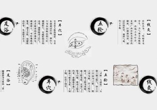 明沐棠視力恢復(fù)加盟