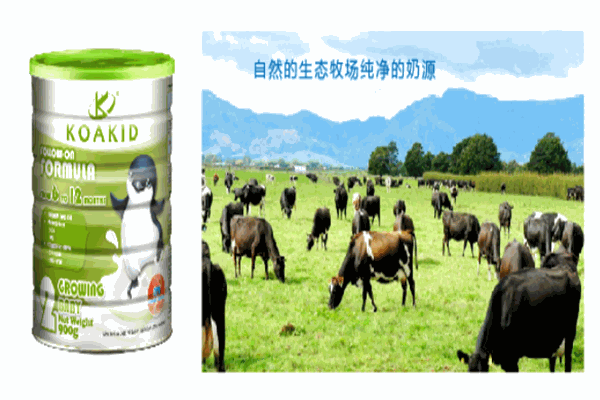 卡瑞洛嬰幼食品加盟