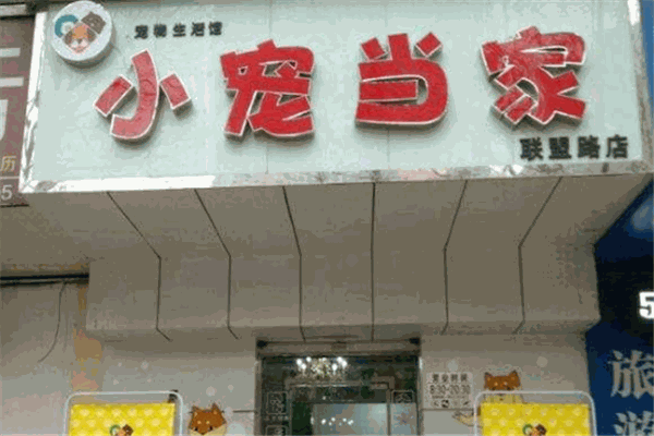 小寵當(dāng)家寵物店加盟