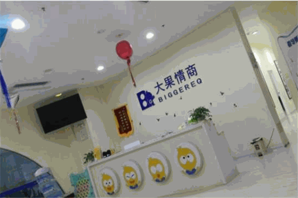 大果情商教育中心加盟