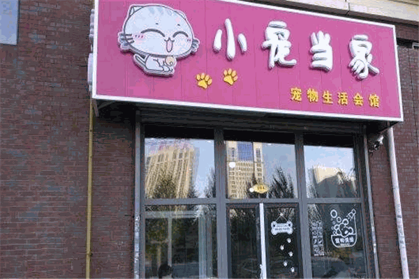 小寵當(dāng)家寵物店加盟