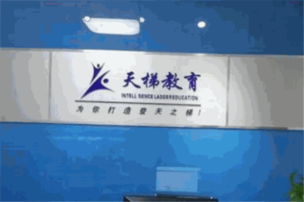 天梯教育加盟
