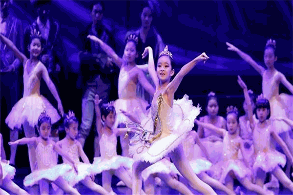 禪韻藝術(shù)表演培訓加盟
