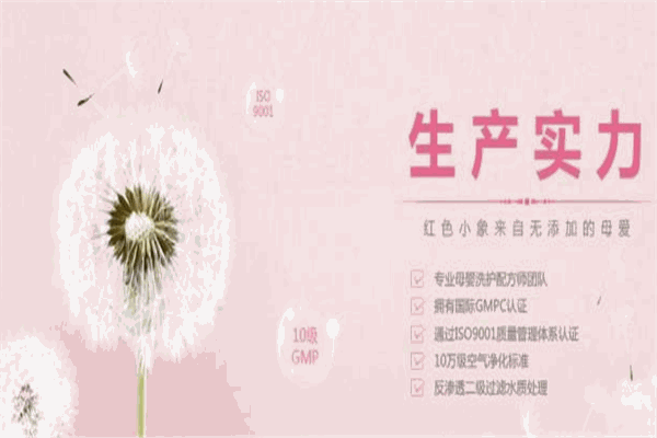 紅色的小象加盟