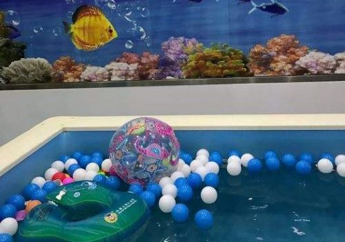 小海豹嬰幼兒游泳館