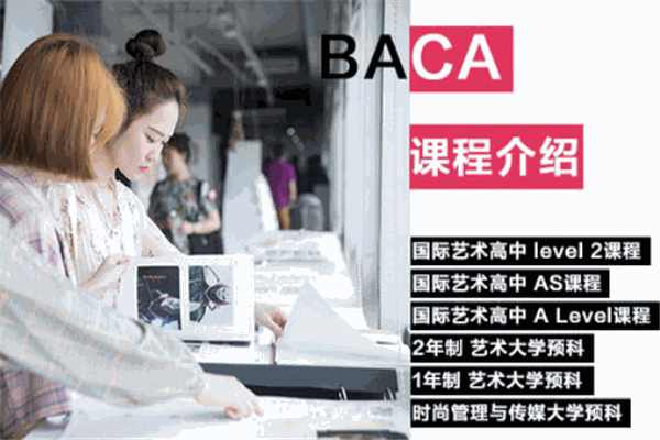 BACA國際藝術(shù)教育加盟