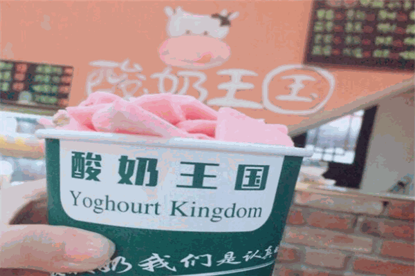酸奶王國