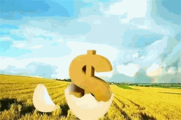 佰年金融加盟