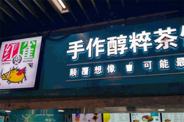 紅雀變野豬茶飲加盟