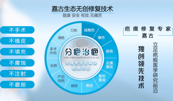 嘉古除疤