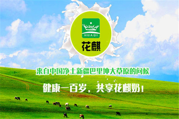 花麒驢奶粉加盟