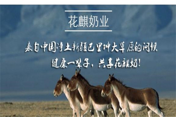 花麒驢奶粉加盟