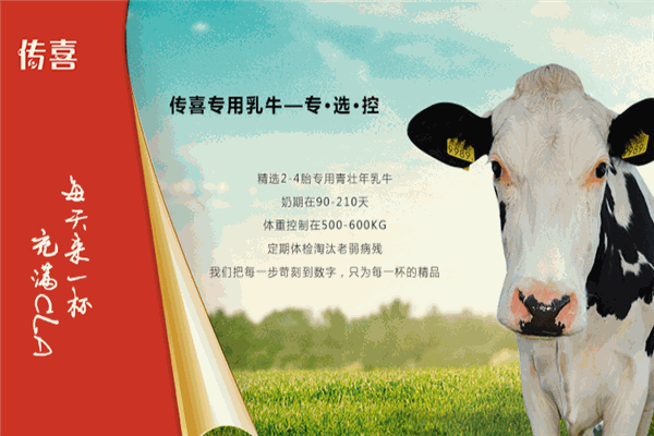 傳喜乳業(yè)加盟