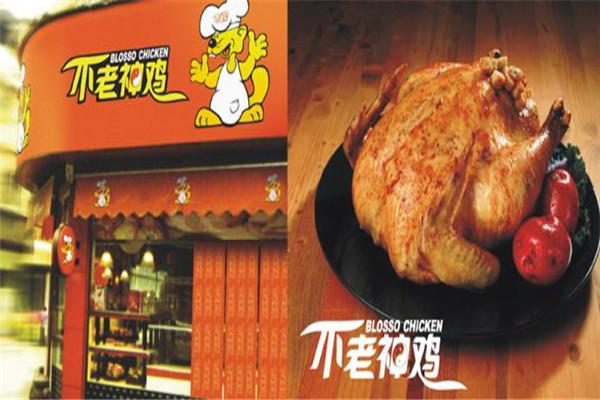 不老神雞熟食加盟
