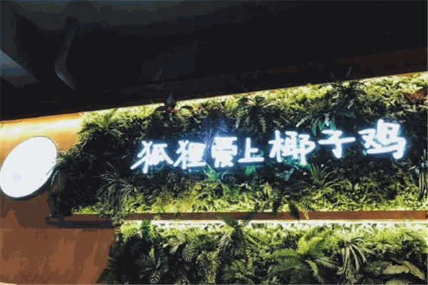 狐貍愛(ài)上椰子雞加盟